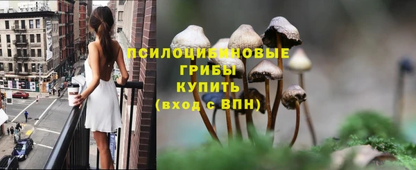 2c-b Алзамай
